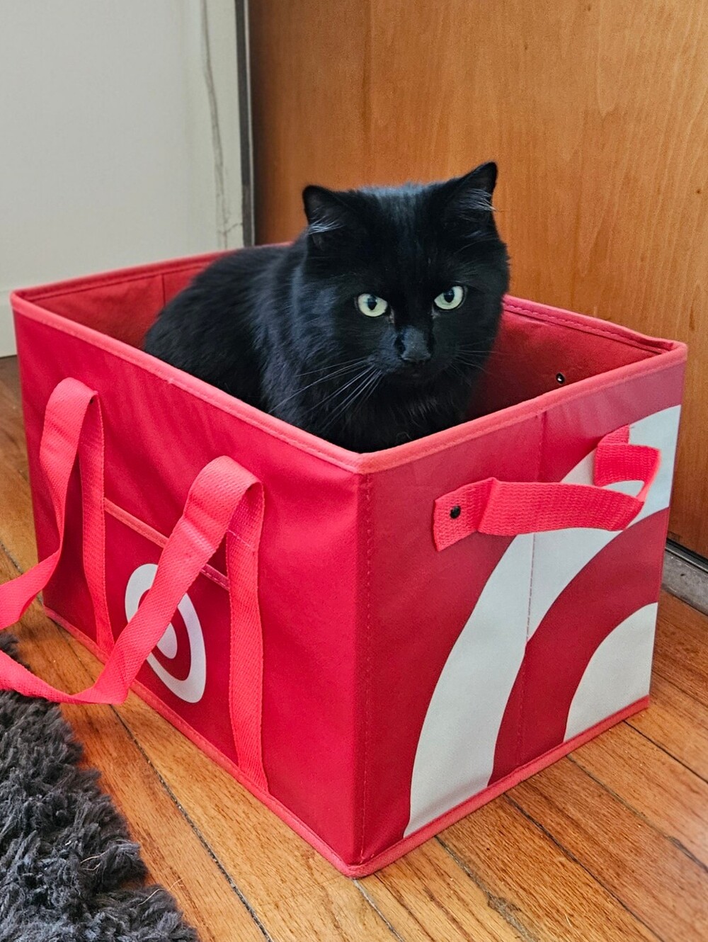 Target red collapsible box-style utility bag. It features a rectangular, boxy sh